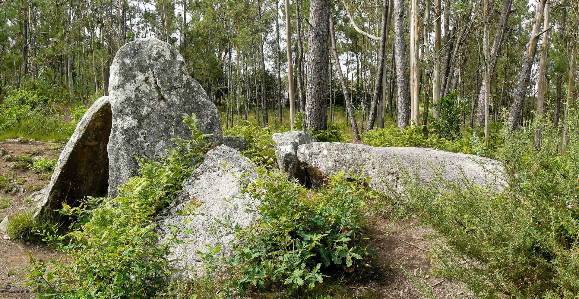 Anta da Pedra Cuberta, dolmen en Treos, Vimianzo.